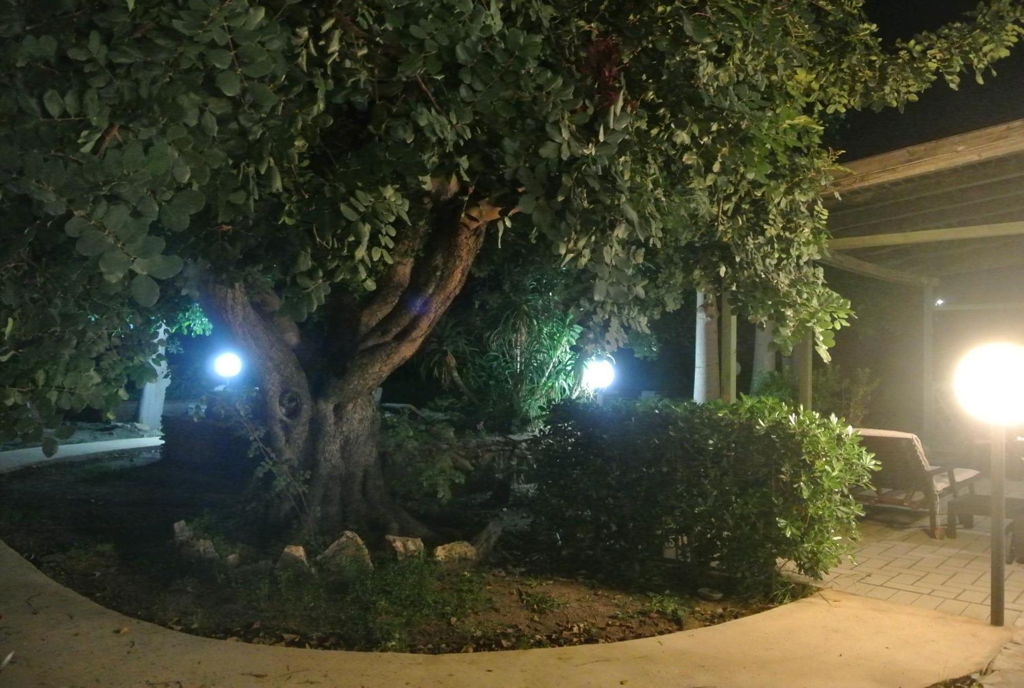 Villa Carlotta Resort San Leone Exterior photo